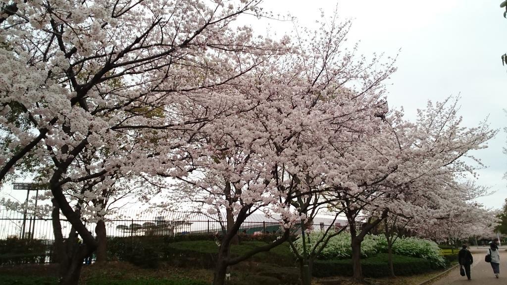 Abiko Guest House Matsubara Екстериор снимка